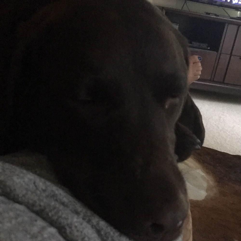 Meet your Posher, Robyn